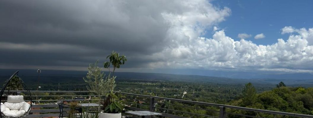 WhatsApp Image 2026-03-19 at 11.21.55 AM